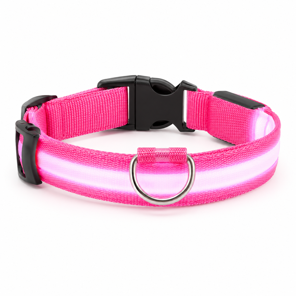 Wag & Roam LED Safety Collar – USB Rechargeable