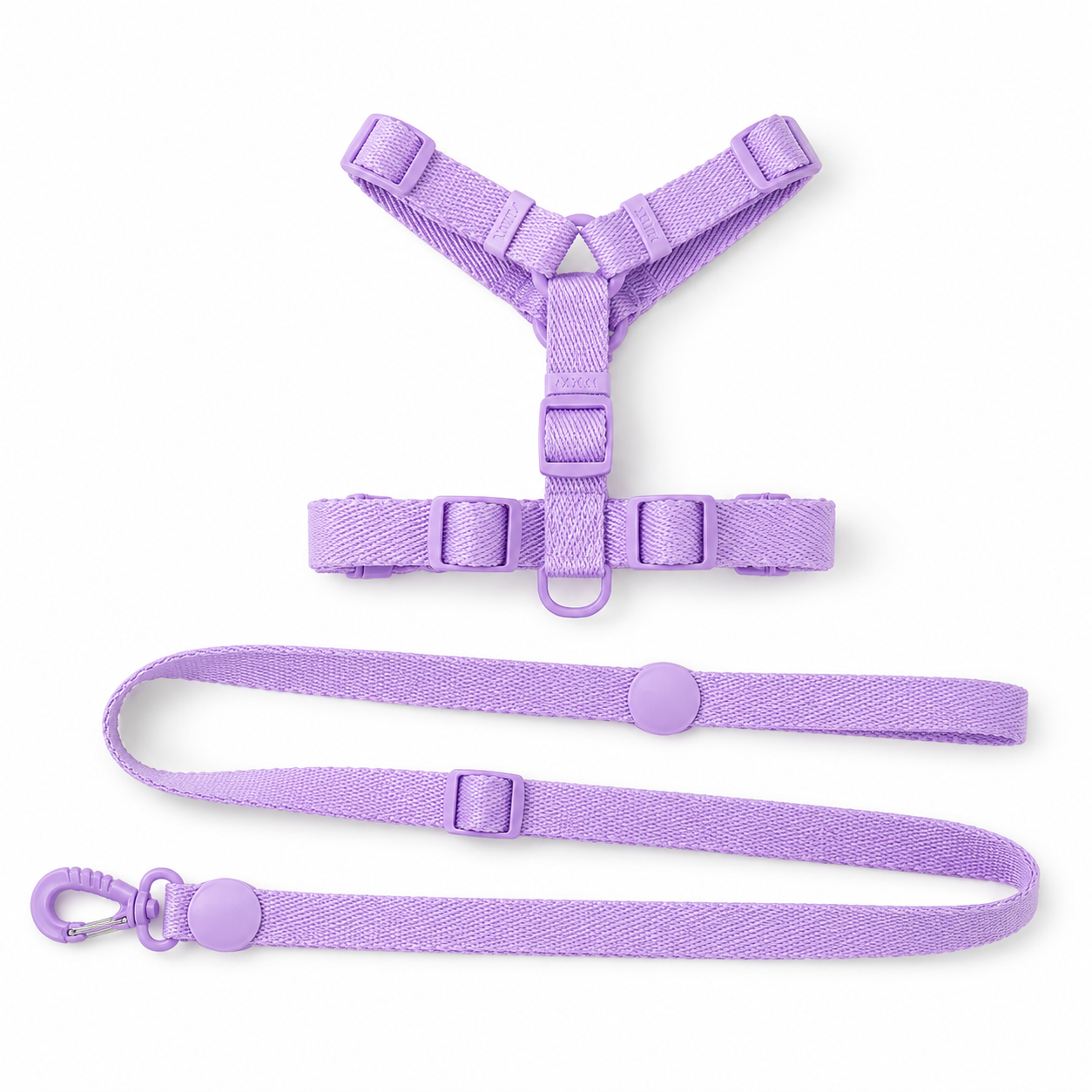 Wag & Roam Puppy Macaron Harness, Collar & Leash Set