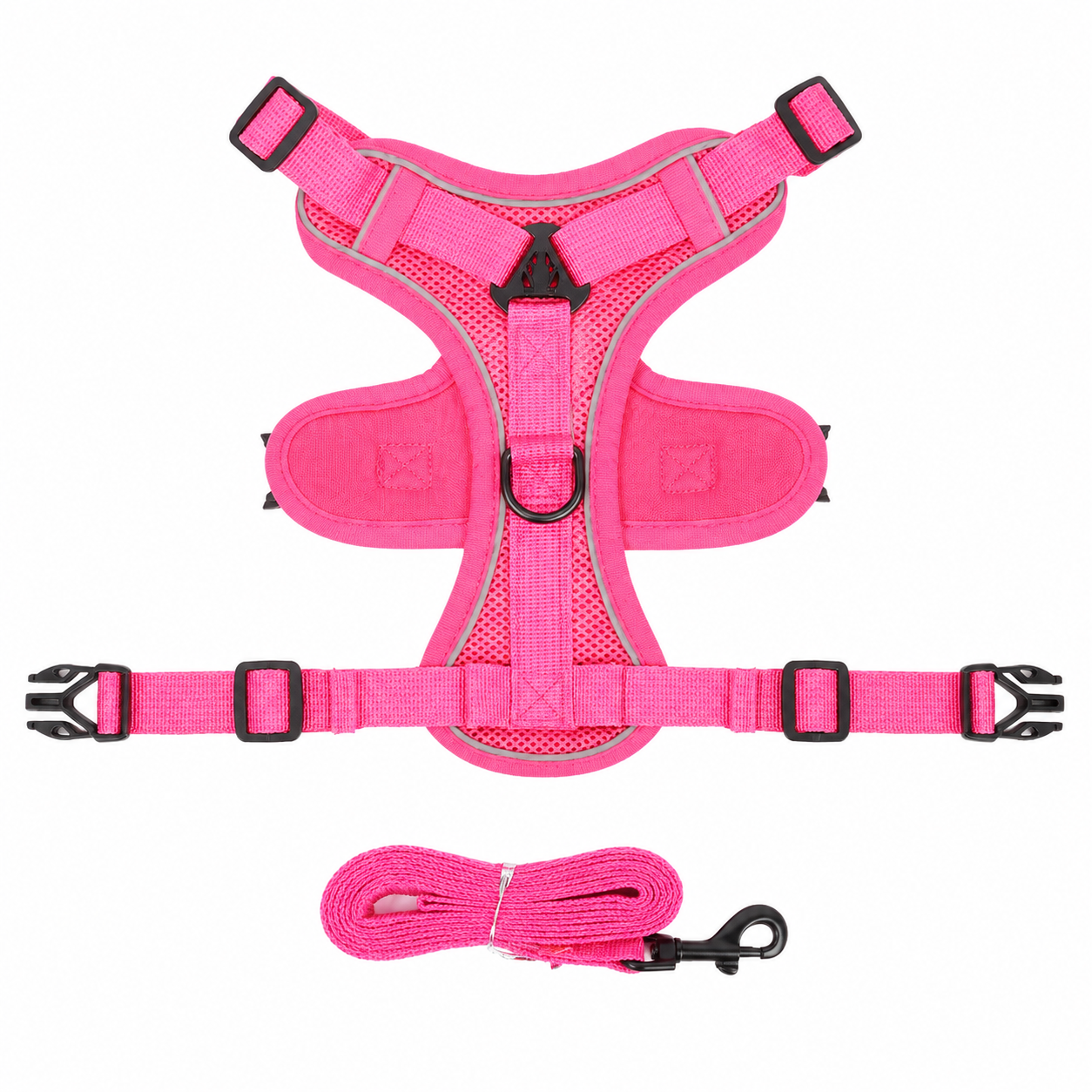 Wag & Roam No-Pull Harness & Leash Set for Small Dogs