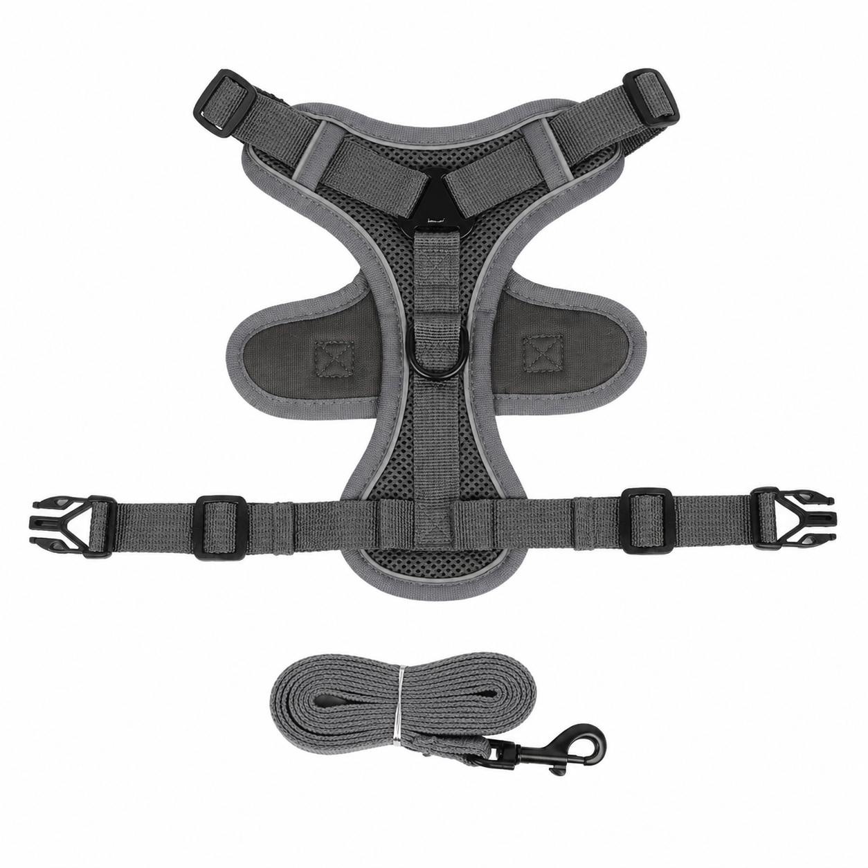 Wag & Roam No-Pull Harness & Leash Set for Small Dogs