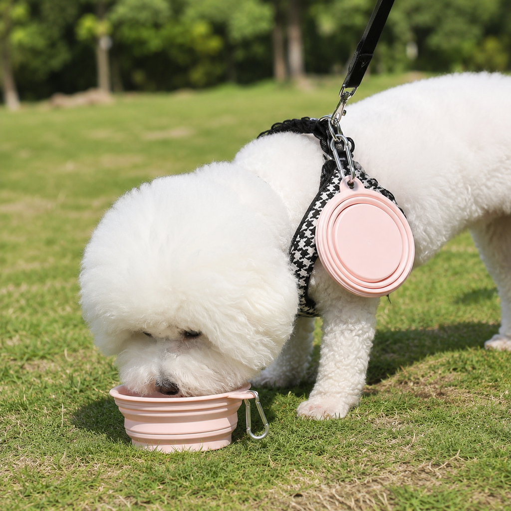 Wag & Roam Collapsible Silicone Dog Bowl