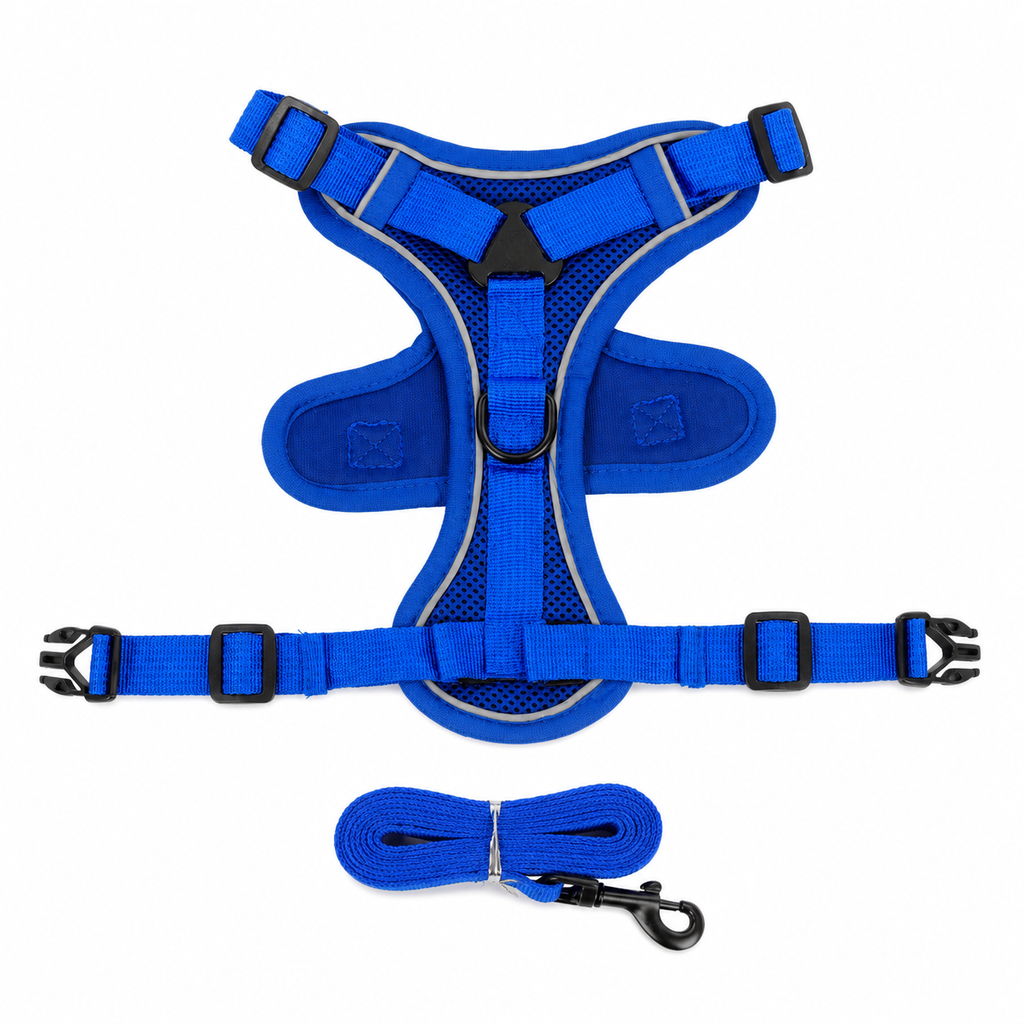 Wag & Roam No-Pull Harness & Leash Set for Small Dogs