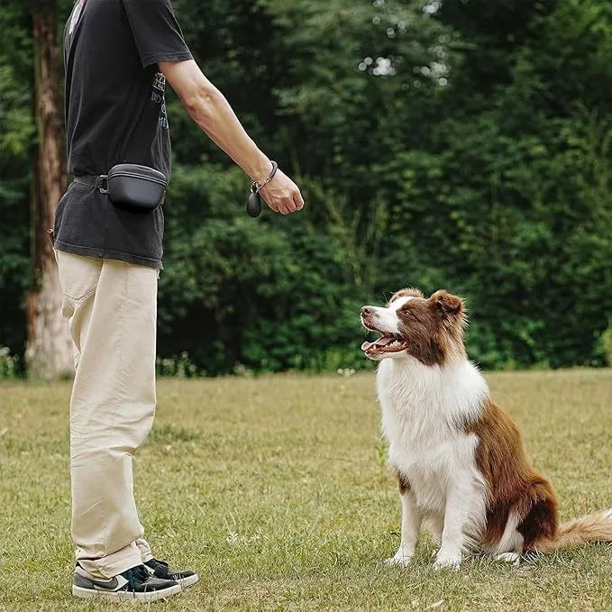 Wag & Roam Treat & Training Fanny Pack