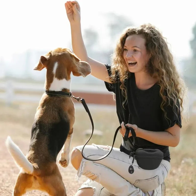 Wag & Roam Treat & Training Fanny Pack